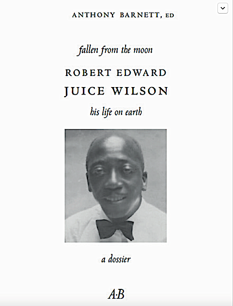 Image Anthony BARNETT : FALLEN FROM THE MOON - ROBERT EDWARD JUICE WILSON